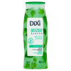 Dixi šampón brezový 400 ml