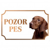 Maďarský stavač (Vyžla) drôtosrstý - Kovová tabuľka POZOR PES