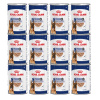 ROYAL CANIN® Maxi Ageing 5+ 12x410 g mokré krmivo, paštéta pre psov starších ako 5 rokov, veľké plemená