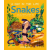 Snakes - A Day in the Life - Cave Christian