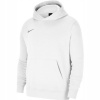 Nike Y NK FLC PARK20 PO HOODIE cw6896-101