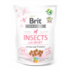 Brit Care Dog Puppy Insects with Whey & Probiotics 200 g