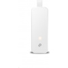 TP-Link UE300