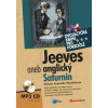 Jeeves aneb anglický Saturnin + CD