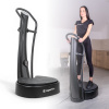 Insportline VibroGym Lotos Max