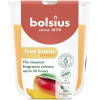 Sviečka v skle Bolsius True Scents, mango, 80×73 mm