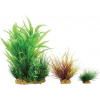 Zolux Dekorace rostlin PlantKit Wiha model 2 (352141)