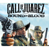 Call of Juarez: Bound in Blood PC Steam CD Key