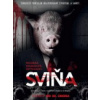 Sviňa DVD