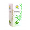 Salvia Paradise Ženšen päťlistý - jiaogulan Thailand n. s. 20 x 1 g