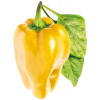 Sadenice Click and Grow Sladká žltá paprika (SGYS)