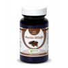 Natural Pharm Mumio Shilajit tablety 100 ks