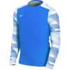 Detská brankárska mikina Dry Park IV JSY LS JR CJ6072-463 - Nike M