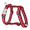 Postroj pre psa Red Dingo Style Červená Hviezda Biela 46-76 cm