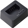 Panasonic BLK22 Charger USB-C