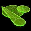 Green Stuff World Blast Markers and Templates - Fluor Green