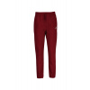 TEPLÁKY GANT GRAPHIC SWEATPANTS PLUMPED RED