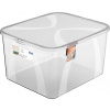Rotho Úložný box LONA 25L