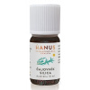 HANUS SILICA ČAJOVNÍK ole 10 ml
