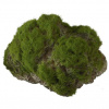 Europet Bernina Aqua Della Moss Stone L 17x11x13,5 cm