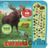 Veľká kniha zvukov ZVIERATÁ - Svojtka&Co.