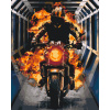 Vymalujsisam.sk Maľovanie podľa čísiel - Ghost Rider 2 Veľkosť: 40x50cm, Rám: Bez rámu, iba zrolované plátno