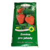 Rašelina Soběslav Zemina pro jahody 40 l