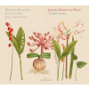 JOHANN SEBASTIAN BACH - The flute sonatas (2CD) (GLOSSA)