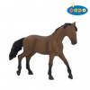 Papo Anglický Thouroughbred
