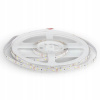 LED pásik 12V neutrálny 4000K 4,2W IP20 5m SMD3528