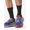 Trailové topánky Salomon Glide Max Tr Run The Alps - surf/quarry/red