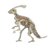 Woodcraft Dřevěné 3D puzzle Parasaurolophus