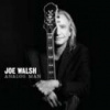 Walsh Joe - Analog Man [CD]