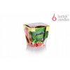 Bartek Candles TUTTI FRUTTI - TROPICAL 115 g