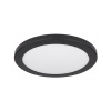 GLOBO 12379-24B LASSE stropné svietidlo 1xLED 24W 230V