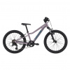 Cannondale Trail 20