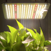 Osvetlenie pre rastliny - LED RASTOVÉ SVETLO RASTÉ RASTLINY GROWBOX LIGHTSTAR + (Osvetlenie pre rastliny - LED RASTOVÉ SVETLO RASTÉ RASTLINY GROWBOX LIGHTSTAR +)