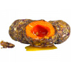 LK BAITS Nutrigo Amur Herb Nectar 20mm, 150ml