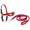 PetSafe Easy Walk Harness Red - postroj a vodítko pre psa, červená sada - XL