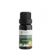 Nobilis Tilia Éterický olej Grapefruit 10 ml