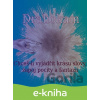 E-kniha Drahokam - Radek Škutchan