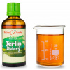 jerlín žlutavý - tinktura z léčivé rostliny