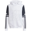 adidas Squadra 25 Sweat Hoody Jr JD4807