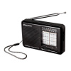 Roadstar TRA-2989 Přenosné vícepásmové r