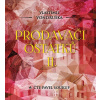 Prodavači ostatků II. (audiokniha) (Pavel Soukup, Vlastimil Vondruška)