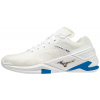 Mizuno Wave Stealth Neo X1GA200100 (EU 50 (UK 14))