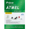 Práce s mikrokontroléry ATMEL AT89C2051 - David Matoušek