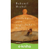 E-kniha Obsluhoval jsem anglického krále - Bohumil Hrabal, Václav Šlajch (Ilustrátor)