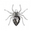 Brož Pavouk 312934 Silver - Šedá / bižuterní kov, krystaly