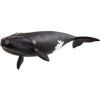 Schleich Schleich Zvieratko - Veľryba severoatlantická OLP102614878